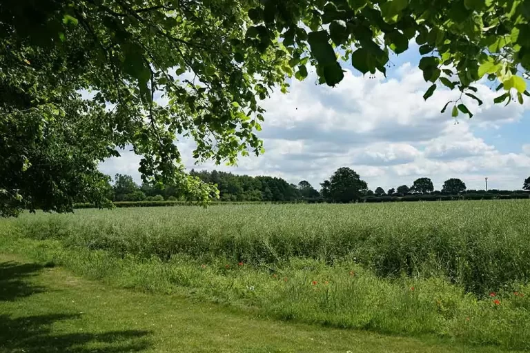 Wide Open Countryside